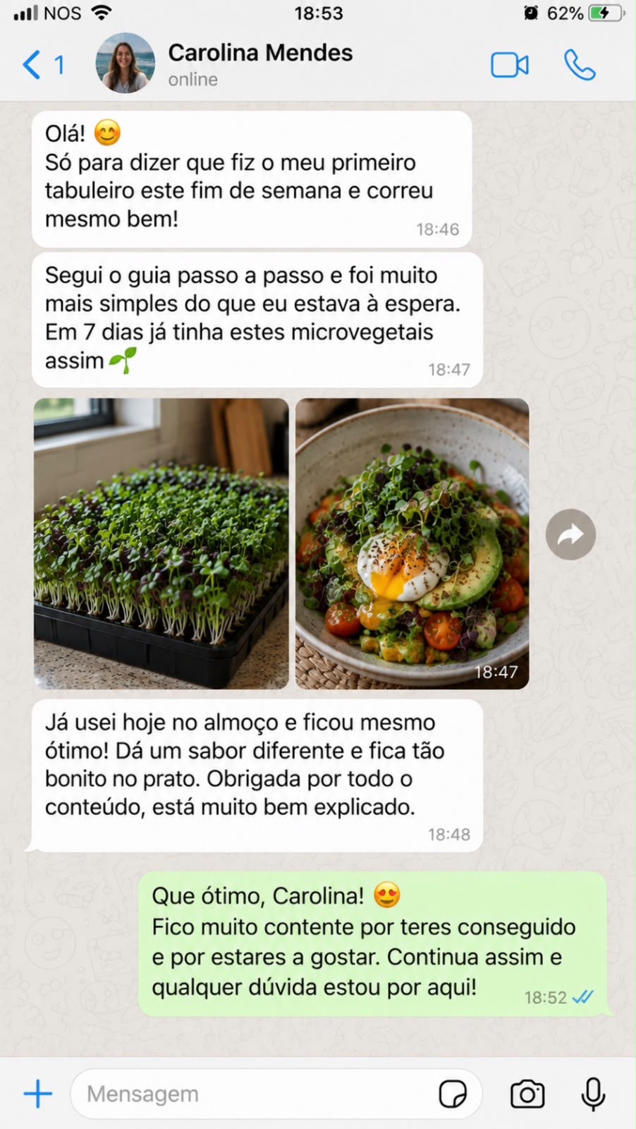 Feedback de Carolina Mendes no WhatsApp sobre o primeiro tabuleiro de microvegetais